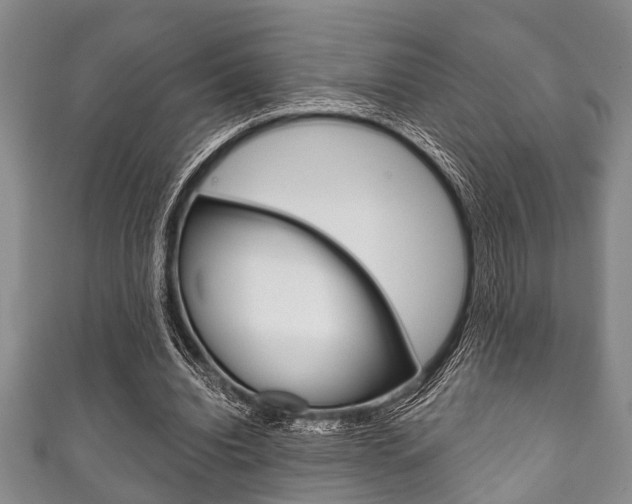 X0000111790440200907230952