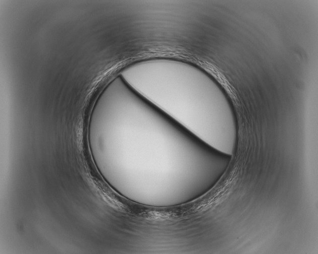 X0000111790442200907230952