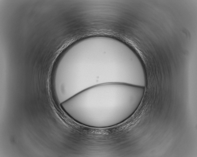 X0000111790443200907230952