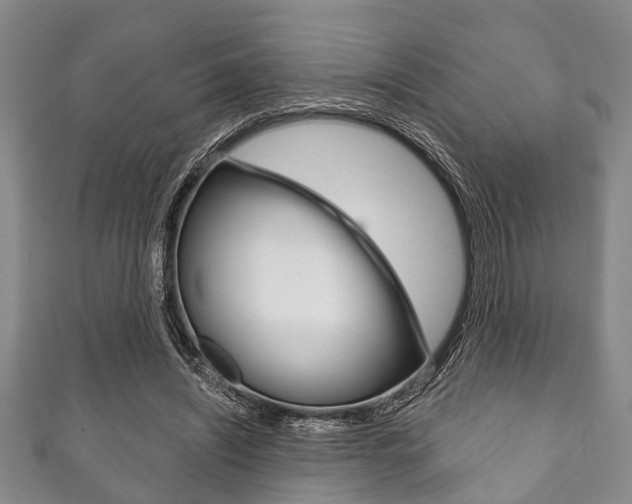 X0000111790444200907230952