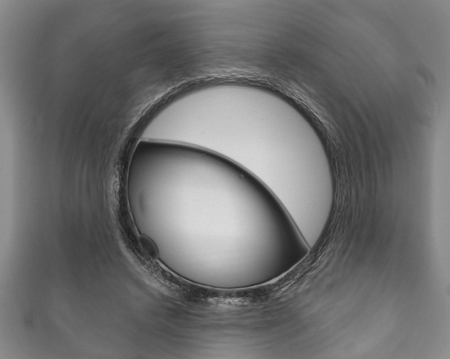 X0000111790448200907230952