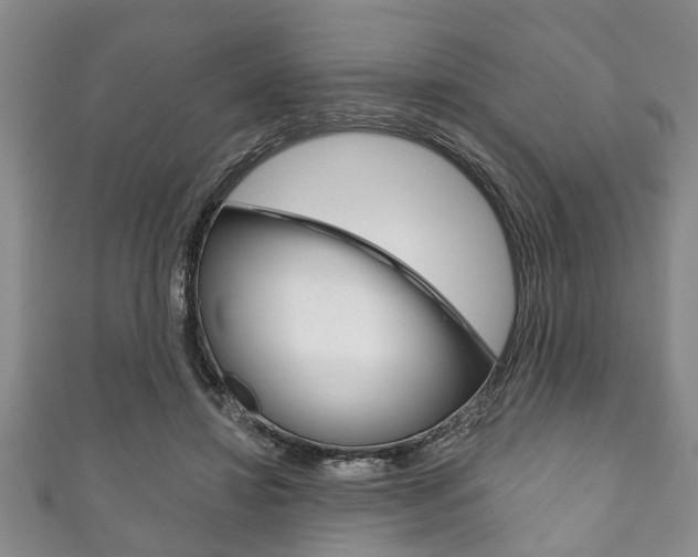 X0000111790452200907230952
