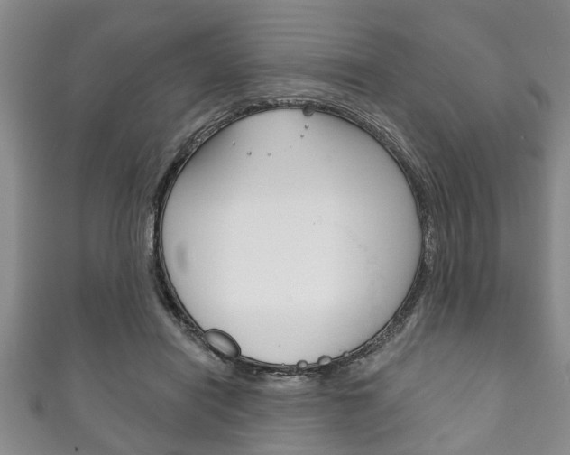 X0000111790454200907230952