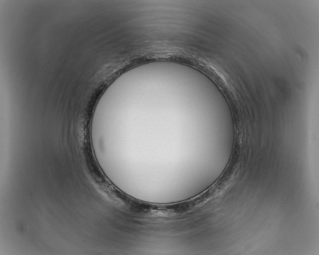 X0000111790455200907230952
