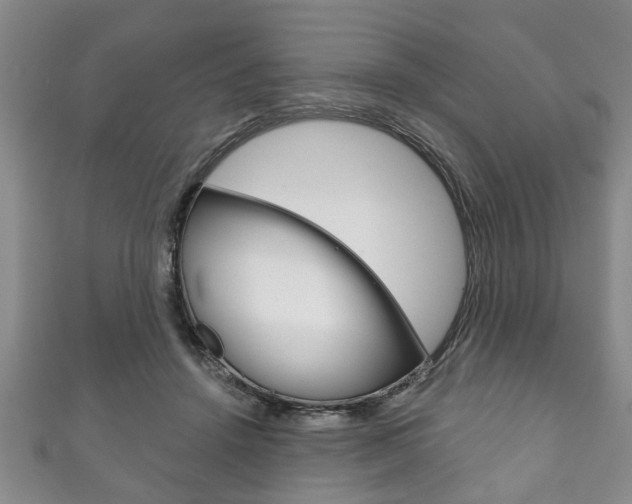 X0000111790456200907230952