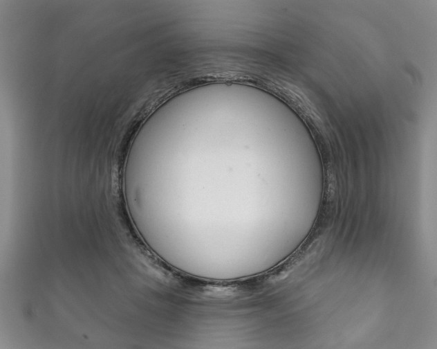 X0000111790457200907230952