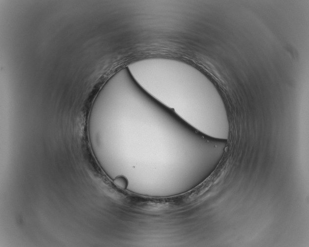 X0000111790458200907230952