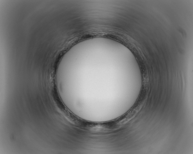 X0000111790460200907230952