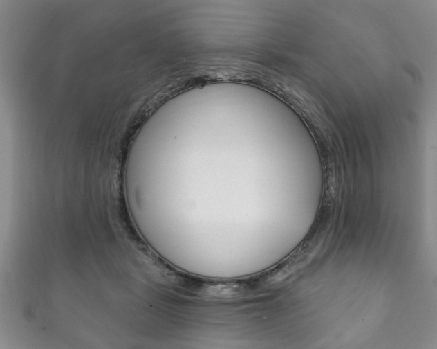 X0000111790461200907230952