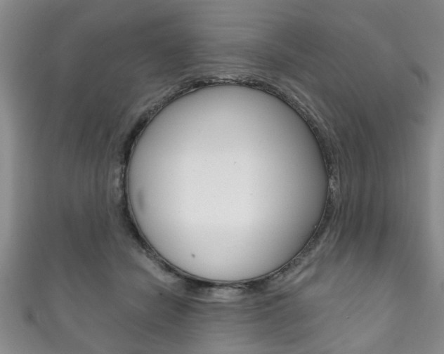 X0000111790462200907230952
