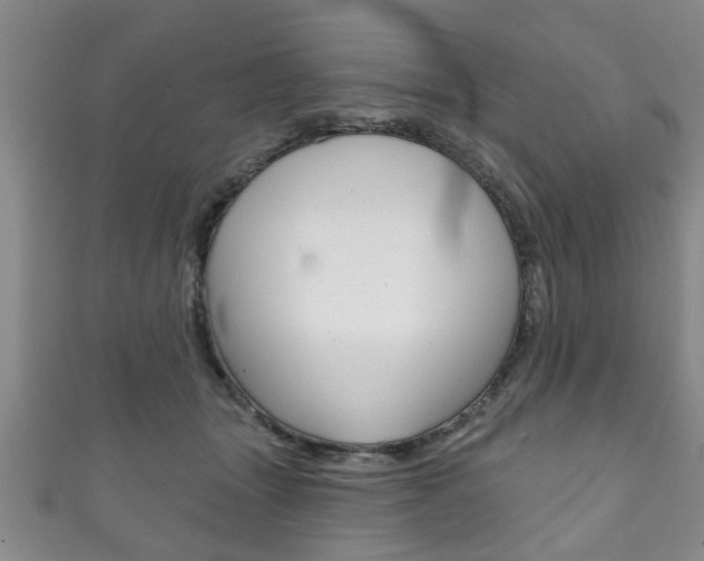 X0000111790463200907230952