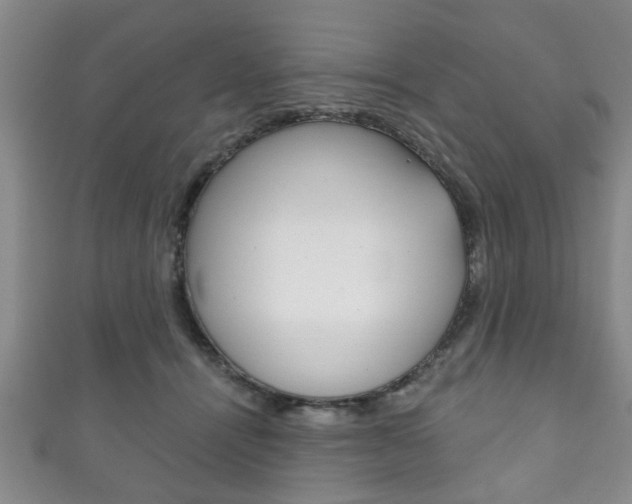 X0000111790464200907230952