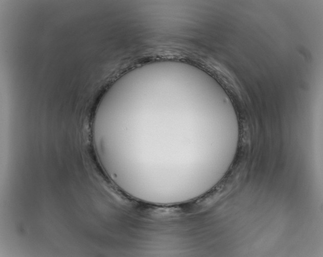 X0000111790465200907230952