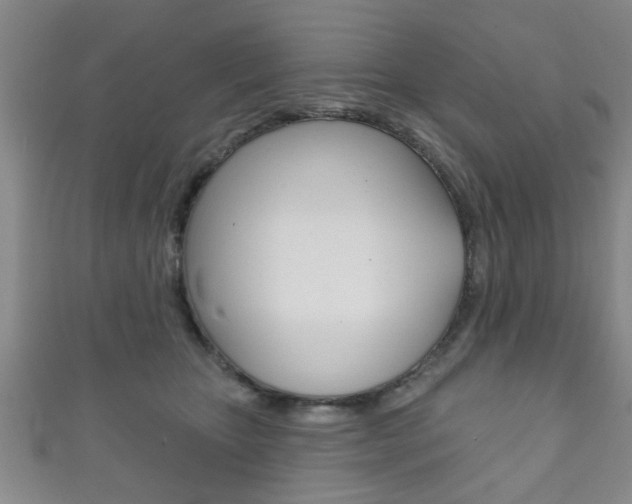 X0000111790467200907230952