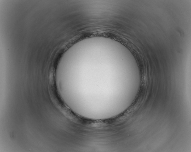 X0000111790468200907230952