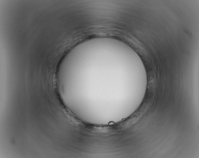 X0000111790469200907230952