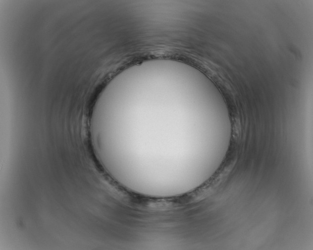 X0000111790470200907230952