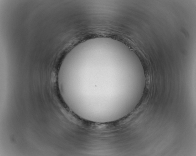 X0000111790472200907230952