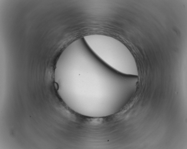X0000111790474200907230952