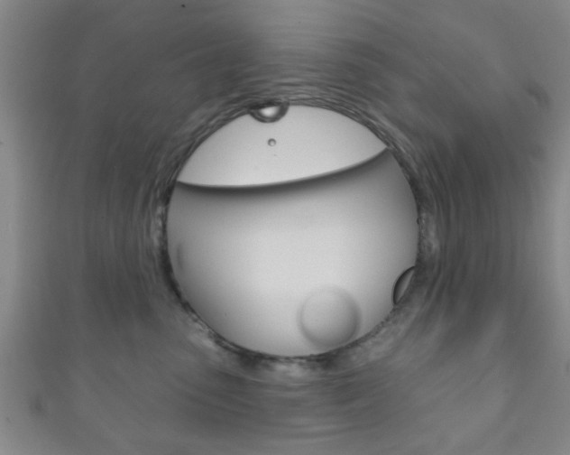 X0000111790475200907230952
