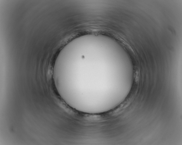 X0000111790476200907230953