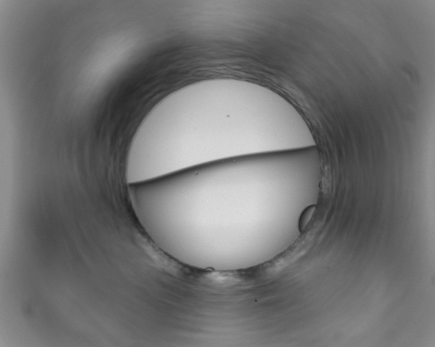 X0000111790477200907230953