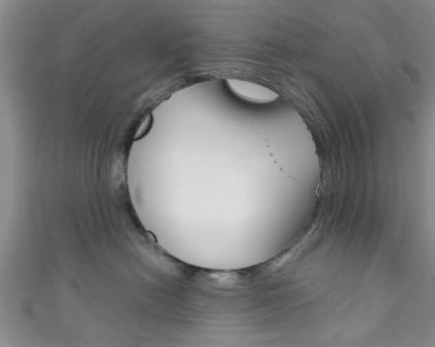 X0000111790478200907230953