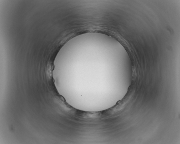 X0000111790479200907230953