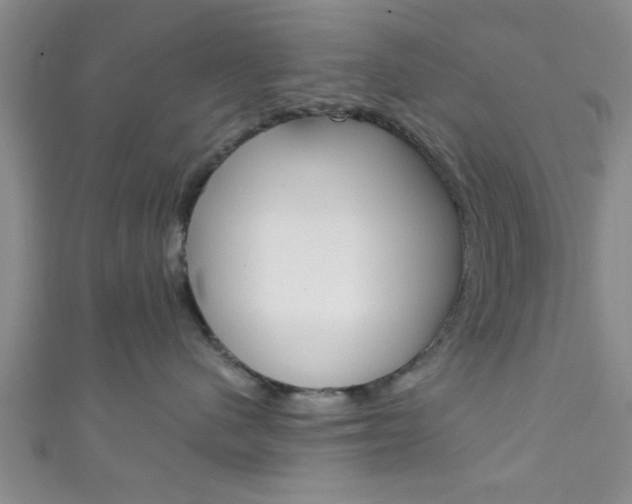 X0000111790480200907230953