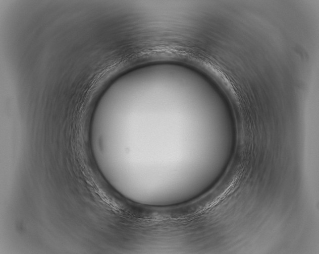 X0000111790481200907230952