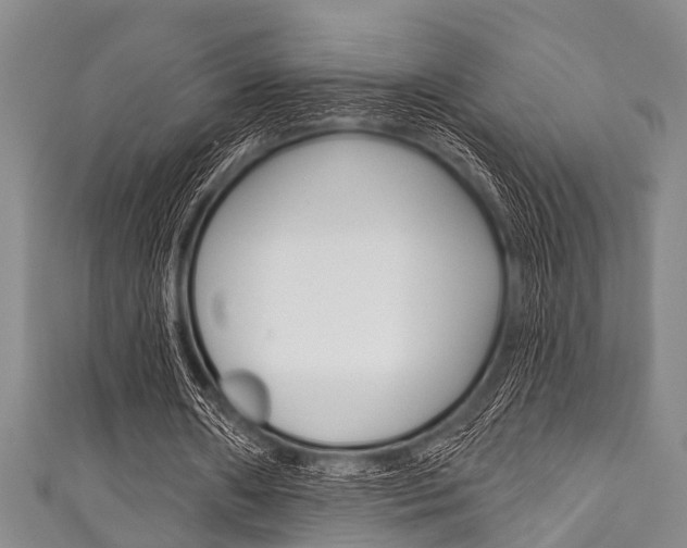 X0000111790482200907230952
