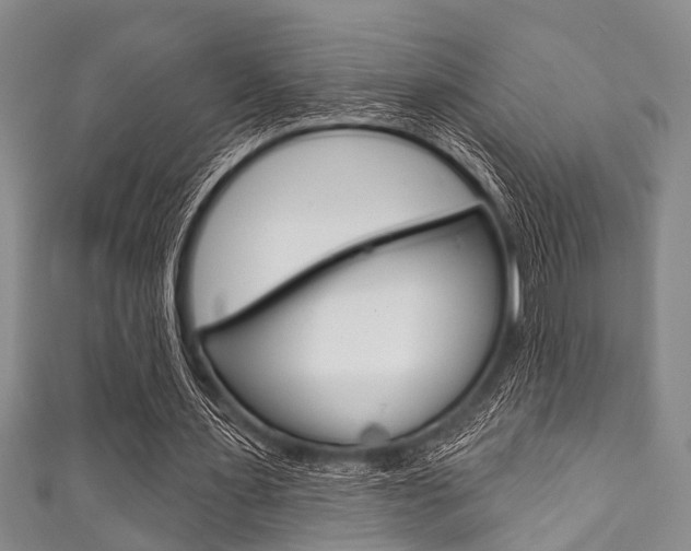 X0000111790483200907230952