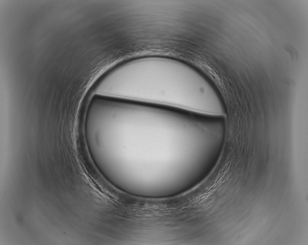 X0000111790484200907230952