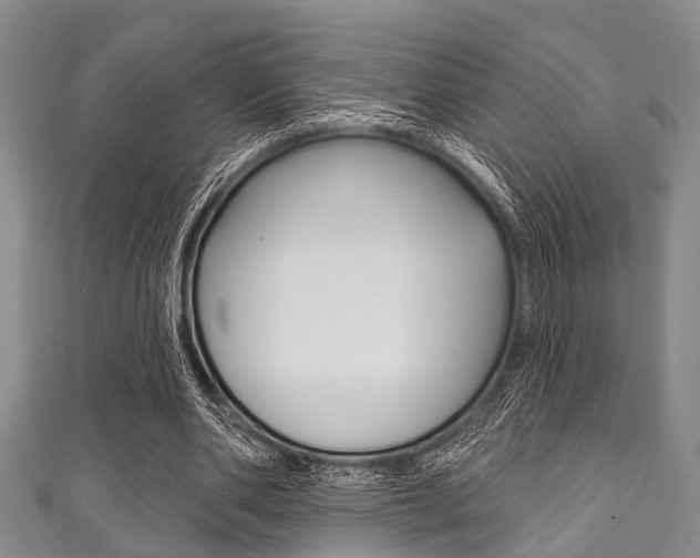 X0000111790486200907230952