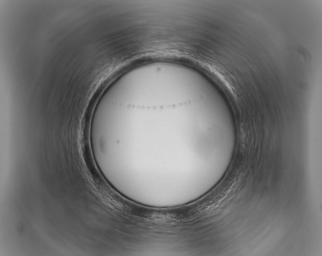 X0000111790487200907230952