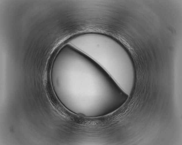 X0000111790488200907230952