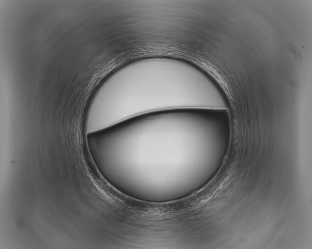 X0000111790489200907230952