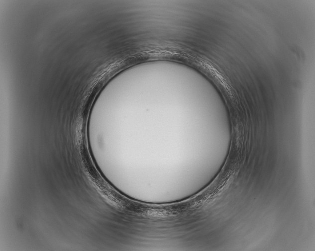X0000111790490200907230952