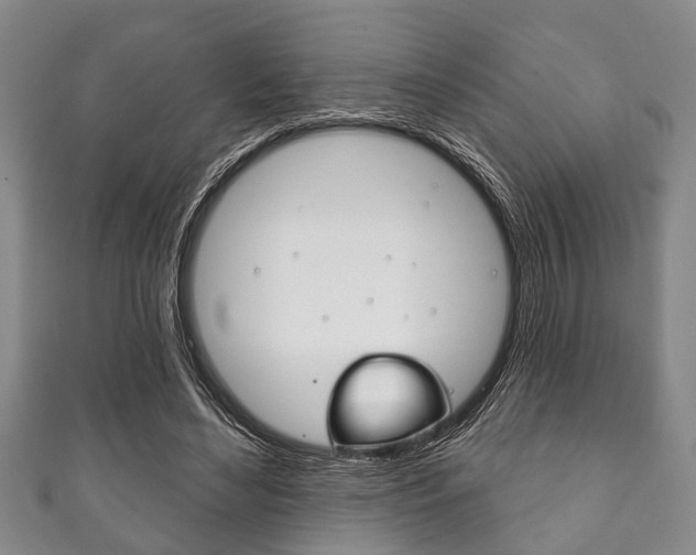 X0000111790492200907230952