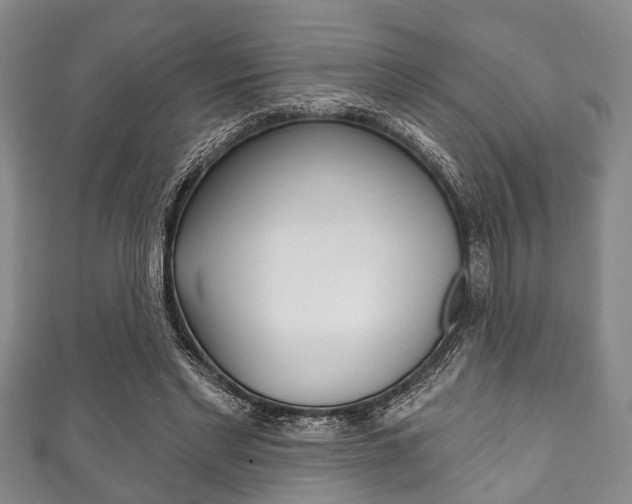 X0000111790493200907230952