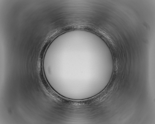 X0000111790494200907230952