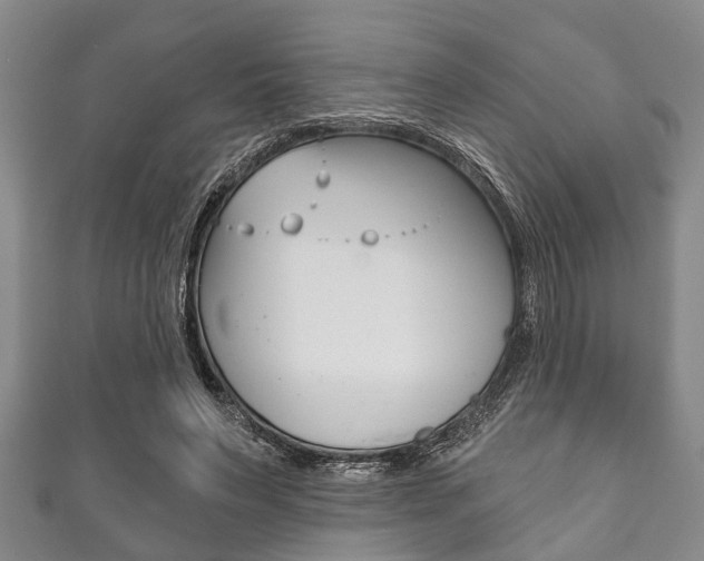 X0000111790495200907230952