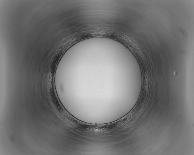 X0000111790498200907230952