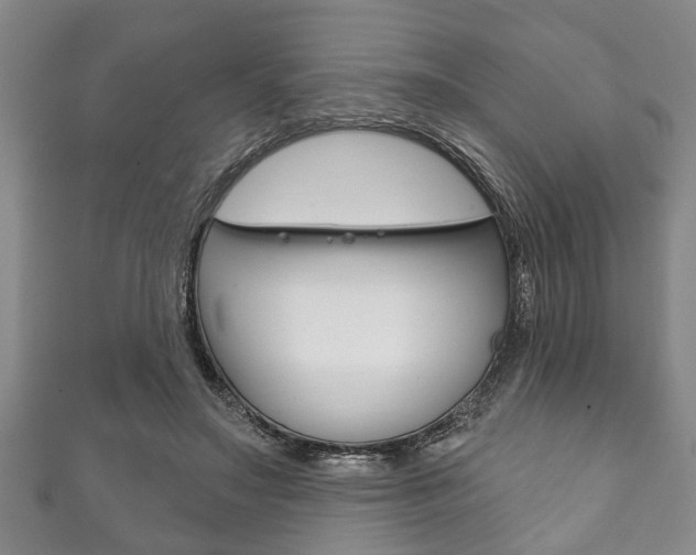 X0000111790499200907230952
