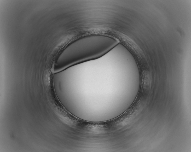X0000111790501200907230952