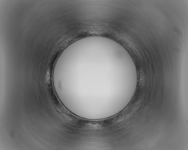 X0000111790502200907230952