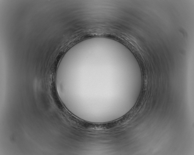 X0000111790503200907230952