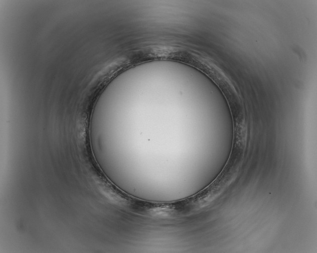 X0000111790505200907230952