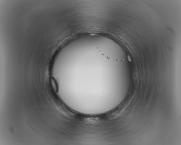 X0000111790508200907230952