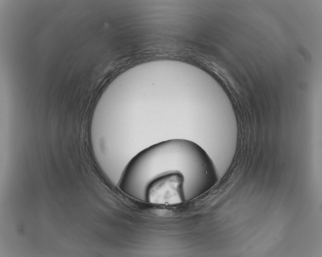 X0000111790509200907230952